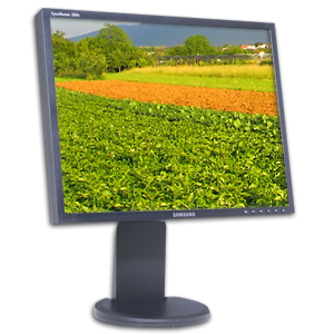 20" LCD computer monitor rental 20 inch